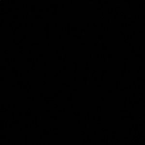 Meet your Posher, Phoebe